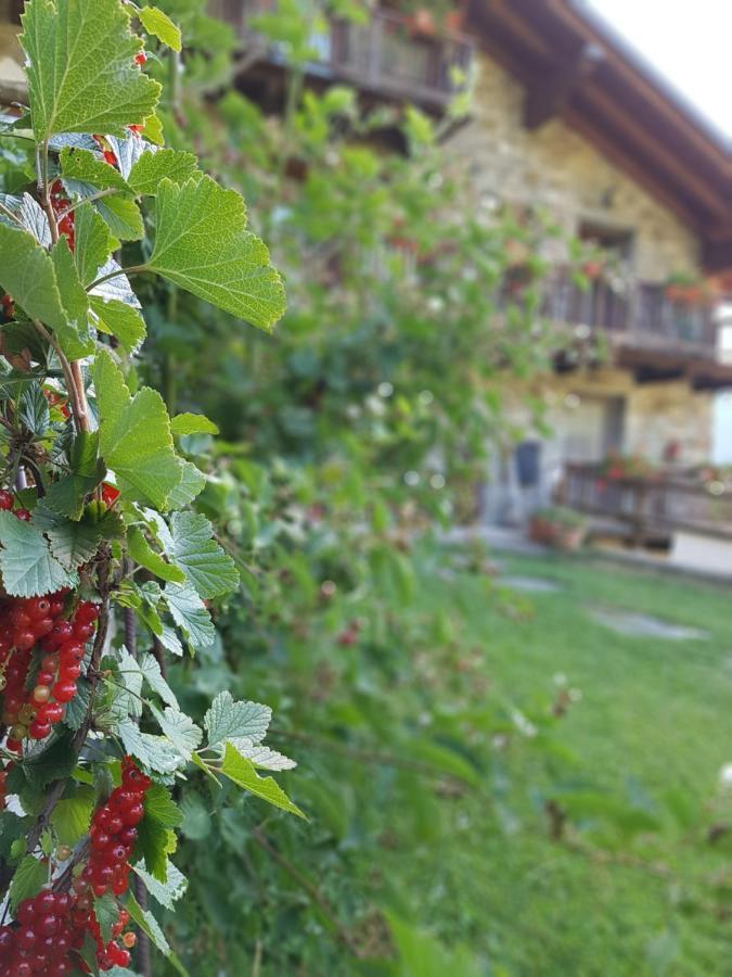 Agriturismo La Clochette Torgnon Buitenkant foto